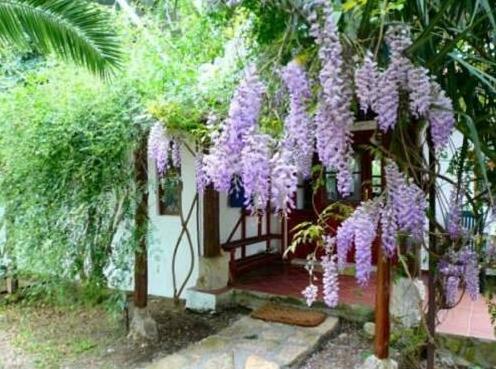 Dostlar Pension - Photo5