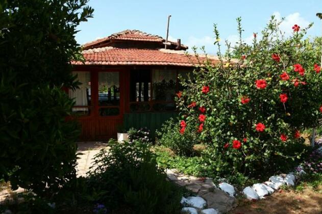 Mehmet Pension - Photo4