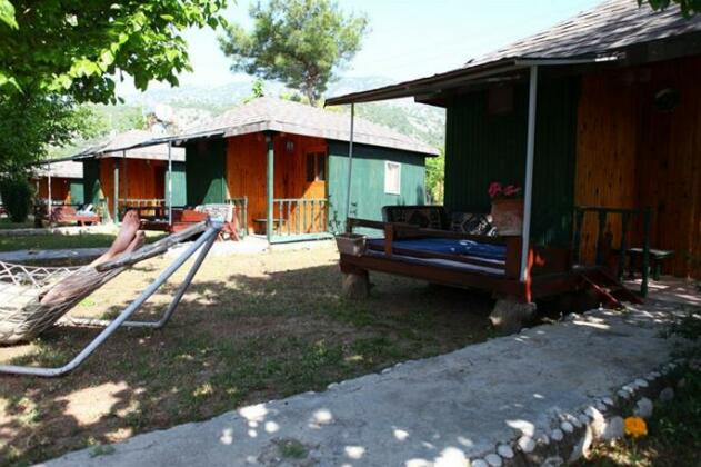 Mehmet Pension - Photo5