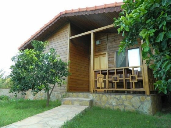 Merhaba Hotel Cirali - Photo5