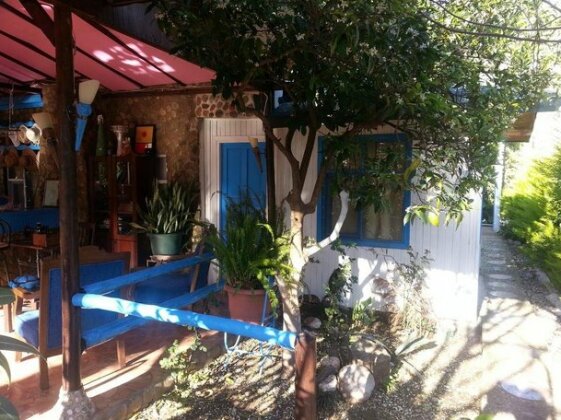 Mila Pansiyon Guest house - Photo2
