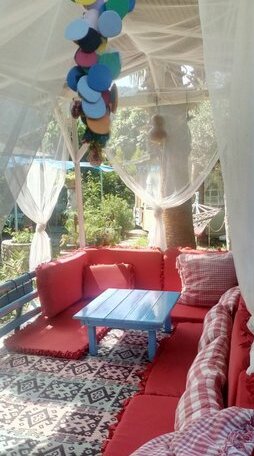Mila Pansiyon Guest house - Photo5