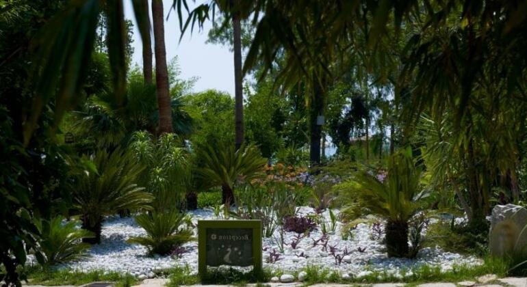 Olympos Lodge - Photo2