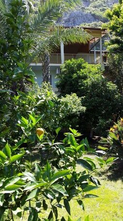 Olympos Pansiyon - Photo4