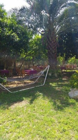 Olympos Pansiyon - Photo5