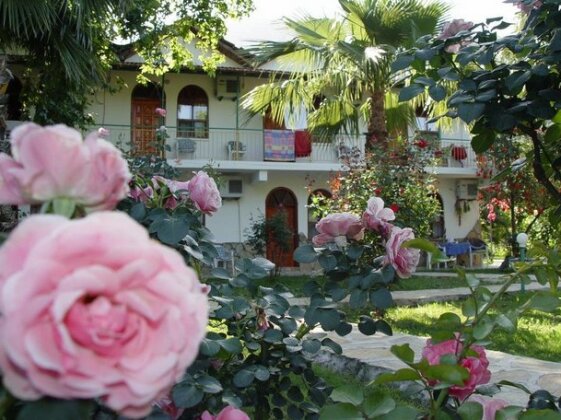 Olympos Yavuz Hotel - Photo5
