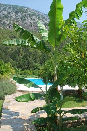 Portalimo Lodge Hotel - Adult Only +12 - Photo5
