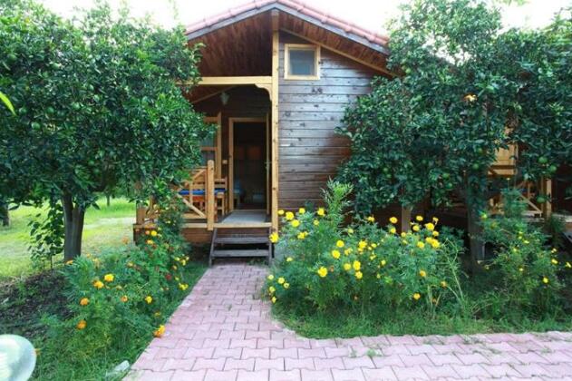Sunrise Bungalows - Photo3