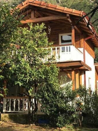 Villa Zeytin Cirali - Photo2
