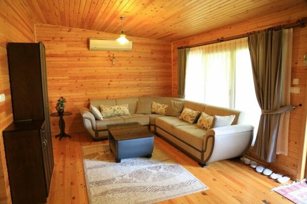 Villa Zeytin Cirali - Photo5