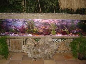 Happy Caretta Hotel - Photo3