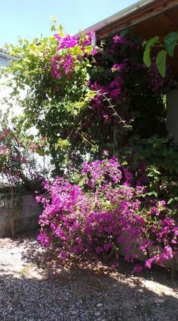 Mulberry House Dalyan - Photo5