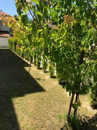 Nesil Villa - Photo5