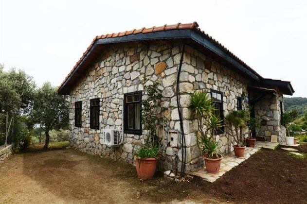 Palm House Dalyan - Photo2