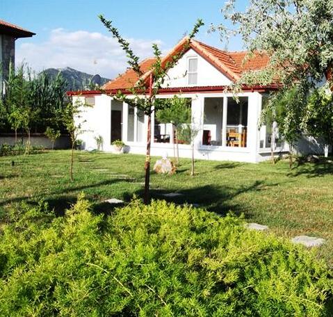 Yavuz Hotel - Photo5