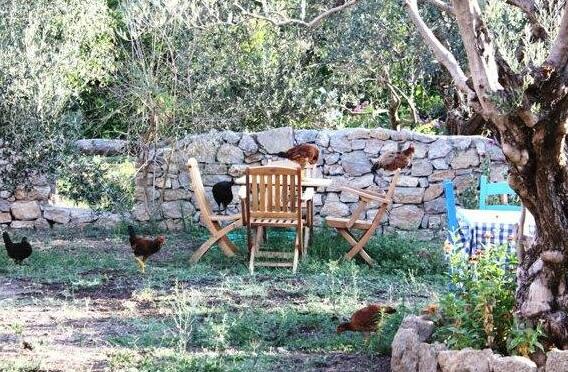 Olive Farm Of Datca Guesthouse - Adults Only - Photo5