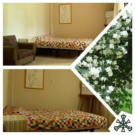 HarmonyPine Hostel - Photo2