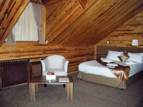 Dedeman Palandoken Resort Hotel - Photo4