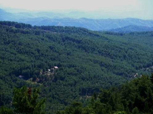 Dikencik Cottages - Photo3