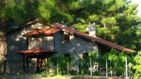 Dikencik Cottages - Photo5
