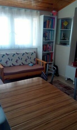 Calica Kampus Pension - Photo5