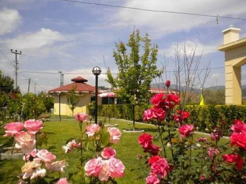 Osko Villa Pension - Photo2