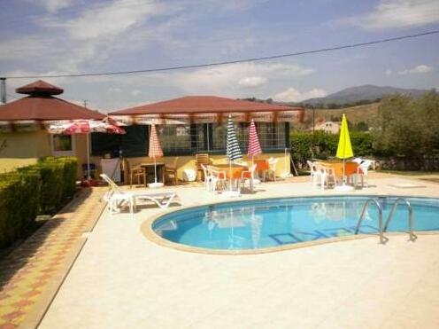 Osko Villa Pension - Photo3