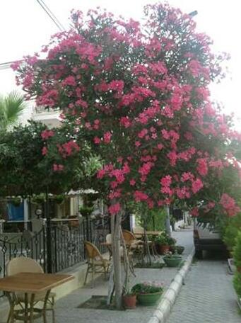 Melaike - Photo4