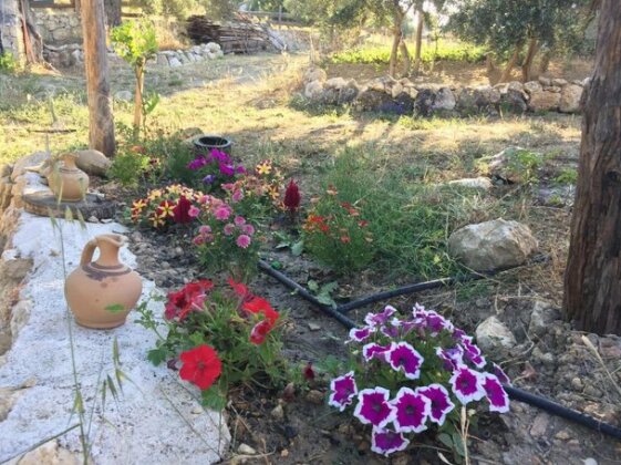 Olive House Gelemis - Photo3