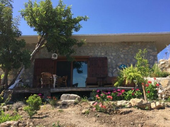 Olive House Gelemis - Photo4