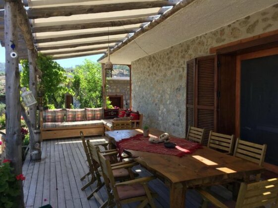 Olive House Gelemis - Photo5