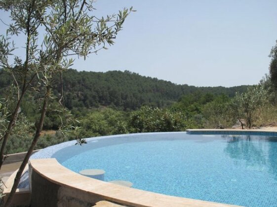 D&C Gocek Hotel - Photo5