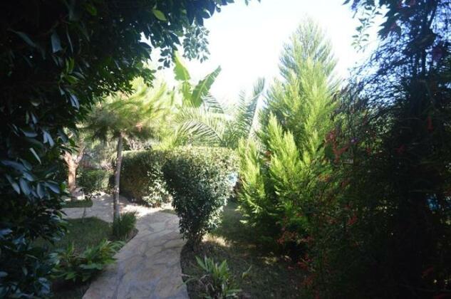 Jasmin Apart - Photo3