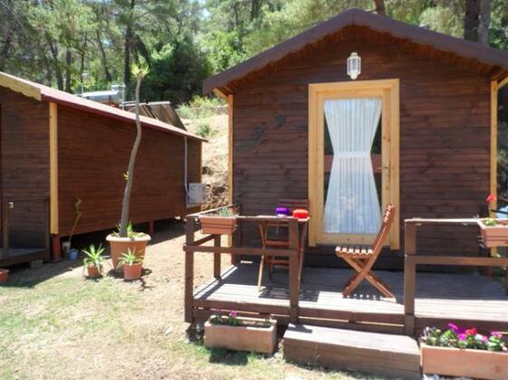 Hisaronu Bungalov - Photo3