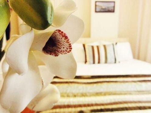 Akin Suites Istanbul - Photo3