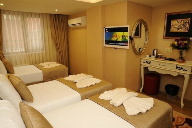 Comfort Elite Hotel Sultanahmet - Photo2