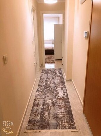 Lion Home - Photo4