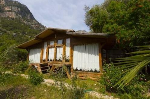 Kabak Natural Life - Photo2
