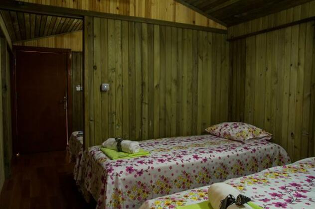 Tree Houses - Photo3