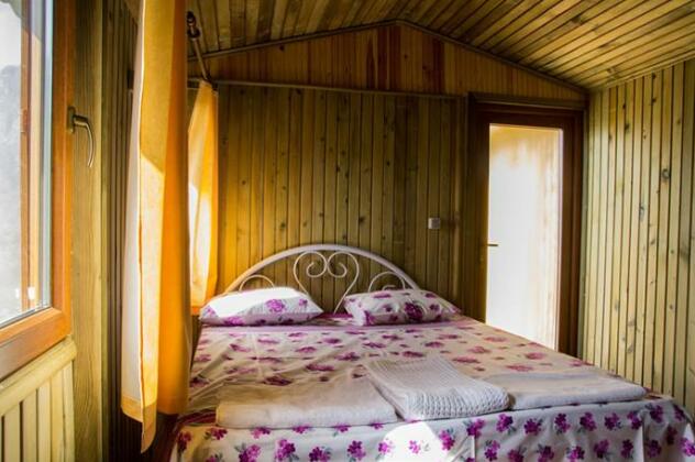 Tree Houses - Photo5