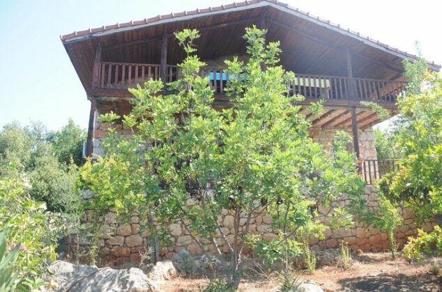 Telemenin Evi