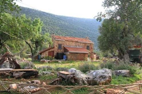 The Purple House - Photo2