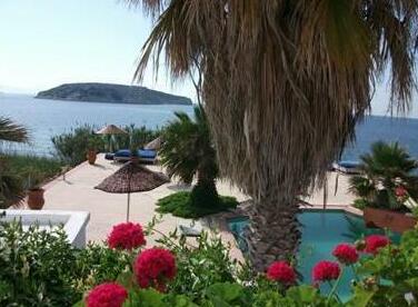 Villa Gold - Photo4