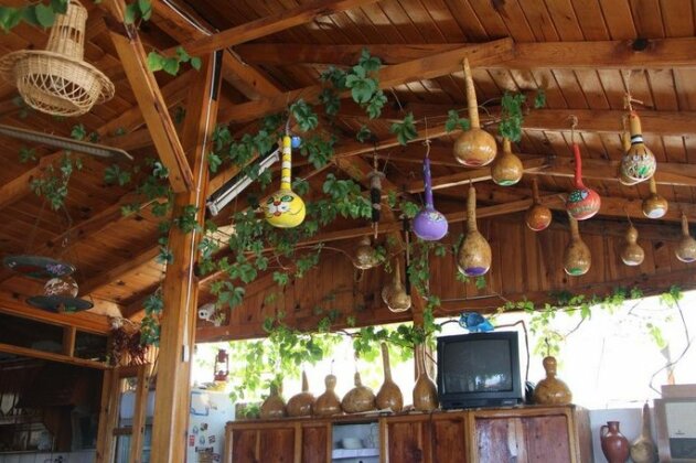 Aphrodite Pension - Photo2