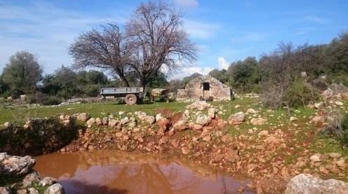 Apollonia Lodge - Photo5