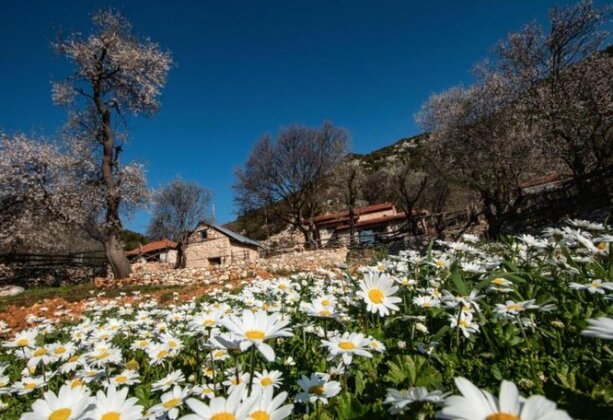 Secluded Heavenly Rustic Home - Photo2