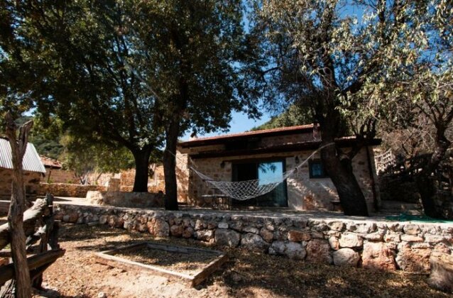 Secluded Heavenly Rustic Home - Photo3