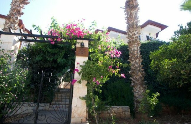 Villa Jiok - Photo4