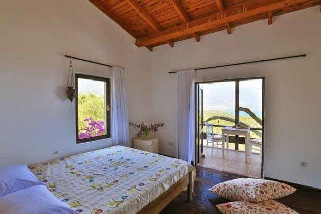 Villa Kaktus - Photo3