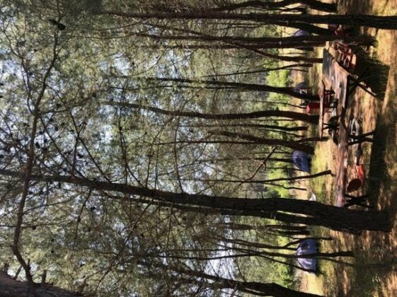 Afkule Camp&Caravan - Photo4